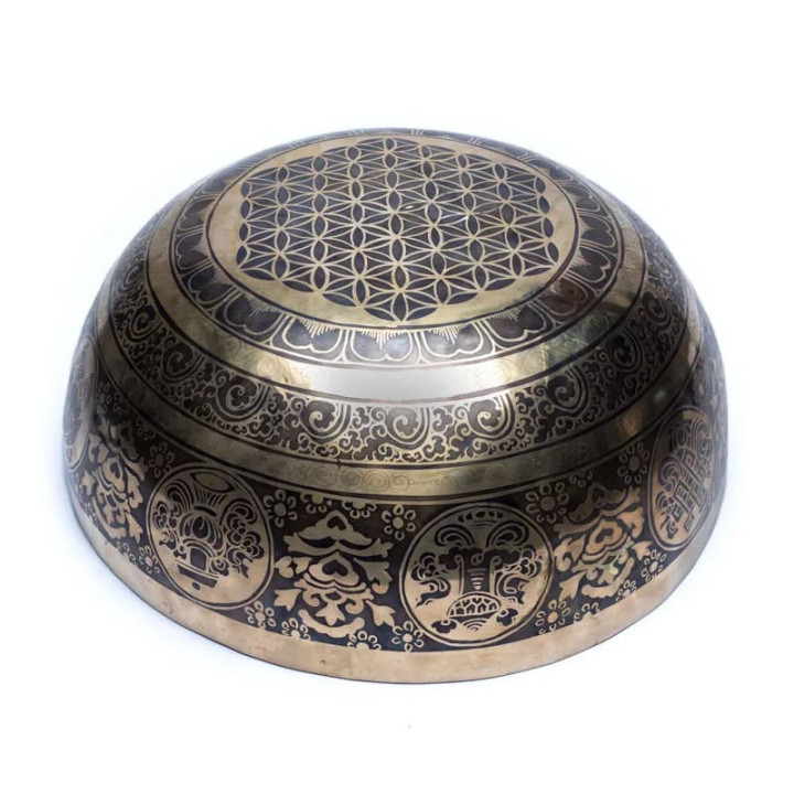 Bol chantant 7 Chakra coloré | Pieralune