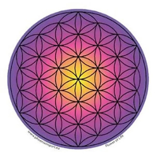 Adhésif verre/fenêtre Fleur de vie | Pieralune