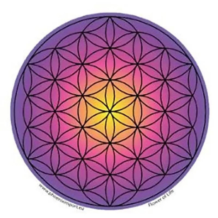 Adhésif verre/fenêtre Fleur de vie | Pieralune