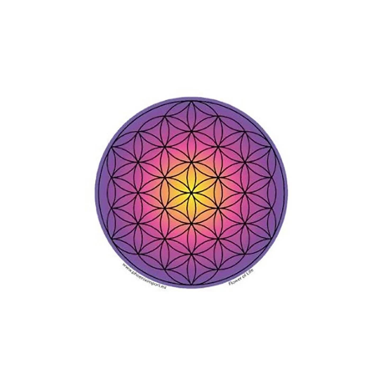 Adhésif verre/fenêtre Fleur de vie | Pieralune