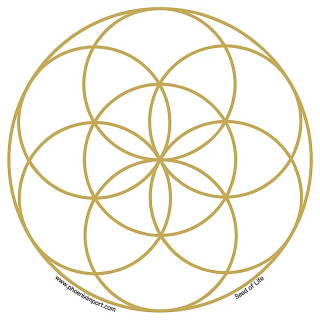 Adhésif verre/fenêtre Graine de vie | Pieralune