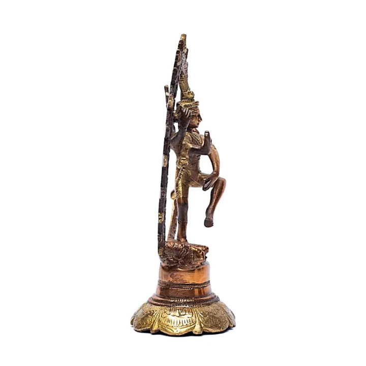 Shiva Nataraj laiton bicolore | Pieralune
