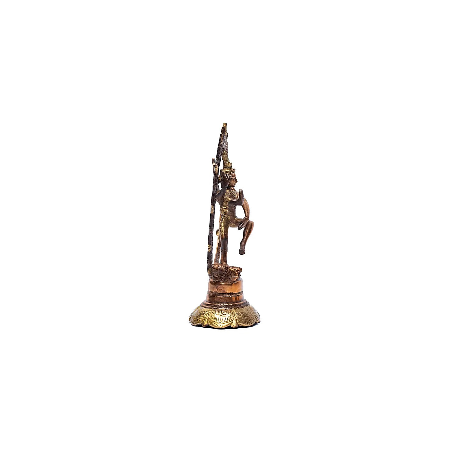 Shiva Nataraj laiton bicolore | Pieralune