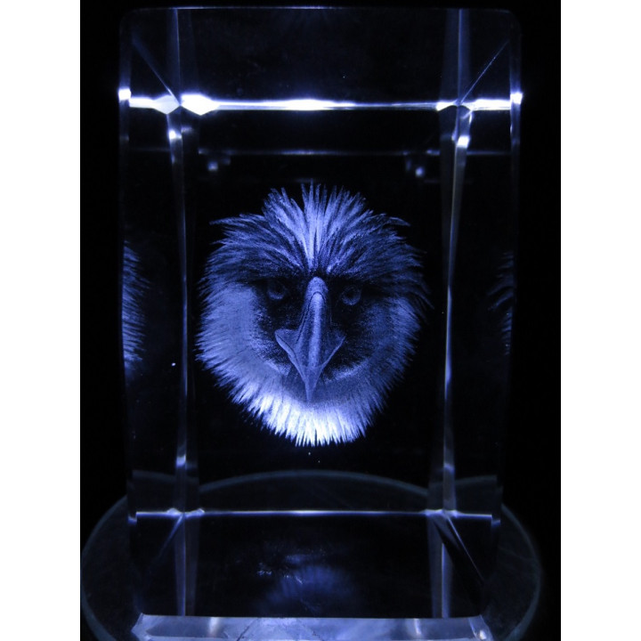 3D Crystal Laser Engraved Block – Eagle (I)