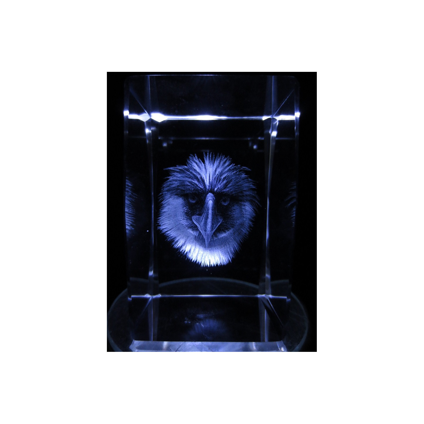 3D Crystal Laser Engraved Block – Eagle (I)