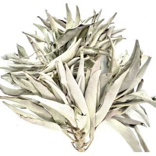 Wholesale - White Sage Cluster AA Quality - (1000g)