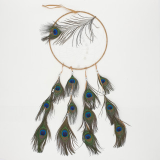 23cm Round Dreamcatchers Peacock Feathers