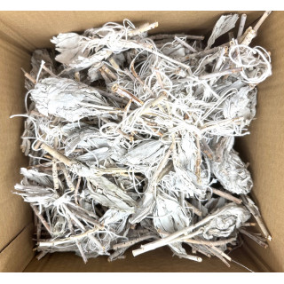 White Sage Tulip Loss (500g)