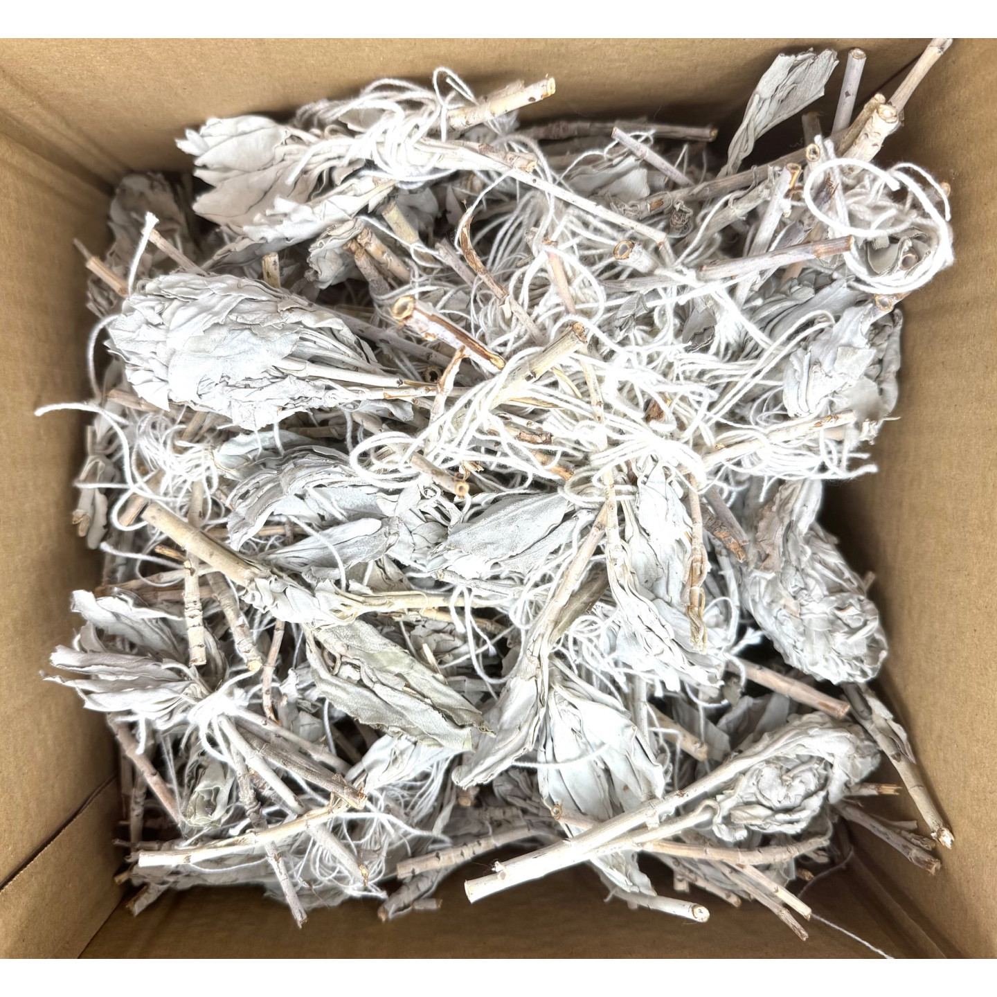 White Sage Tulip Loss (1000g)