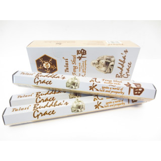 Tulasi Buddha's Grace