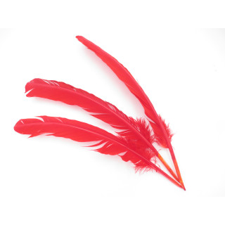 White Sage Smudge Feather red (3 pieces) - wholesale