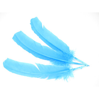 White Sage Smudge Feather turquoise (3 pieces) - wholesale