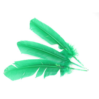 White Sage Smudge Feather green (3 pieces) - wholesale