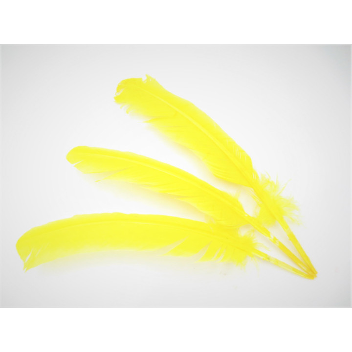 White Sage Smudge Feather yellow (3 pieces) - wholesale