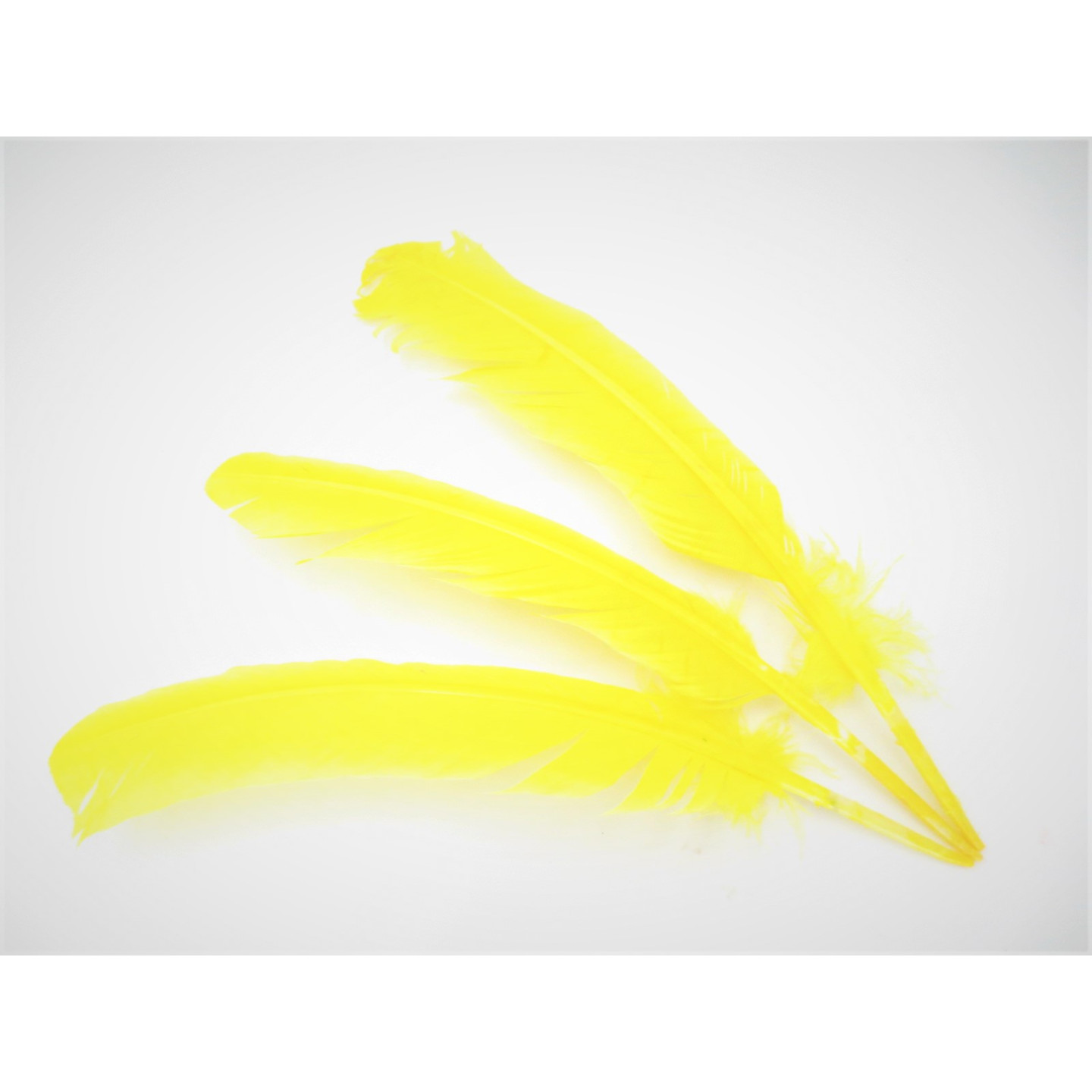 White Sage Smudge Feather yellow (3 pieces) - wholesale