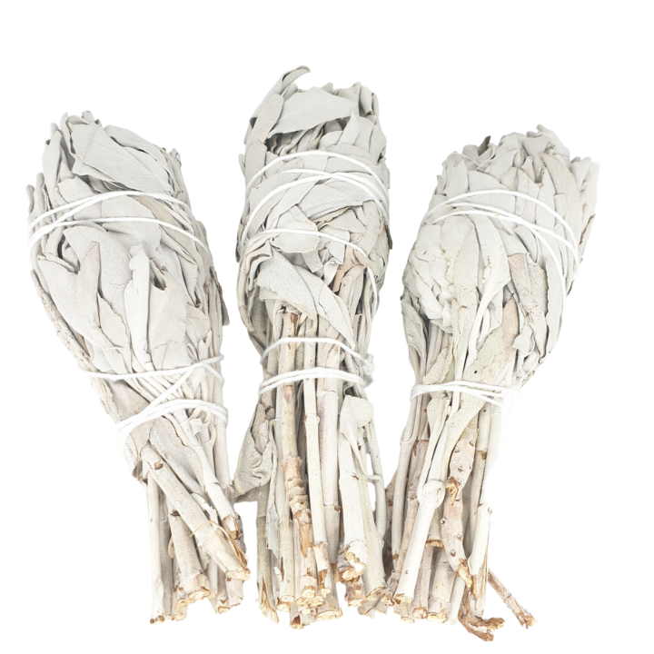 White Sage Tulip (3 x 30-35 grams)