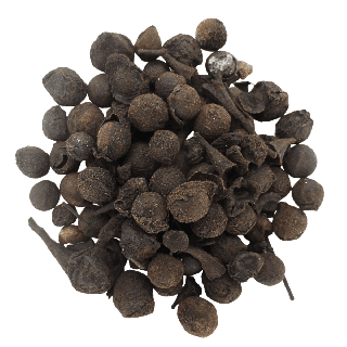 Laurel Berry – Natural Resin Incense (1000 g)