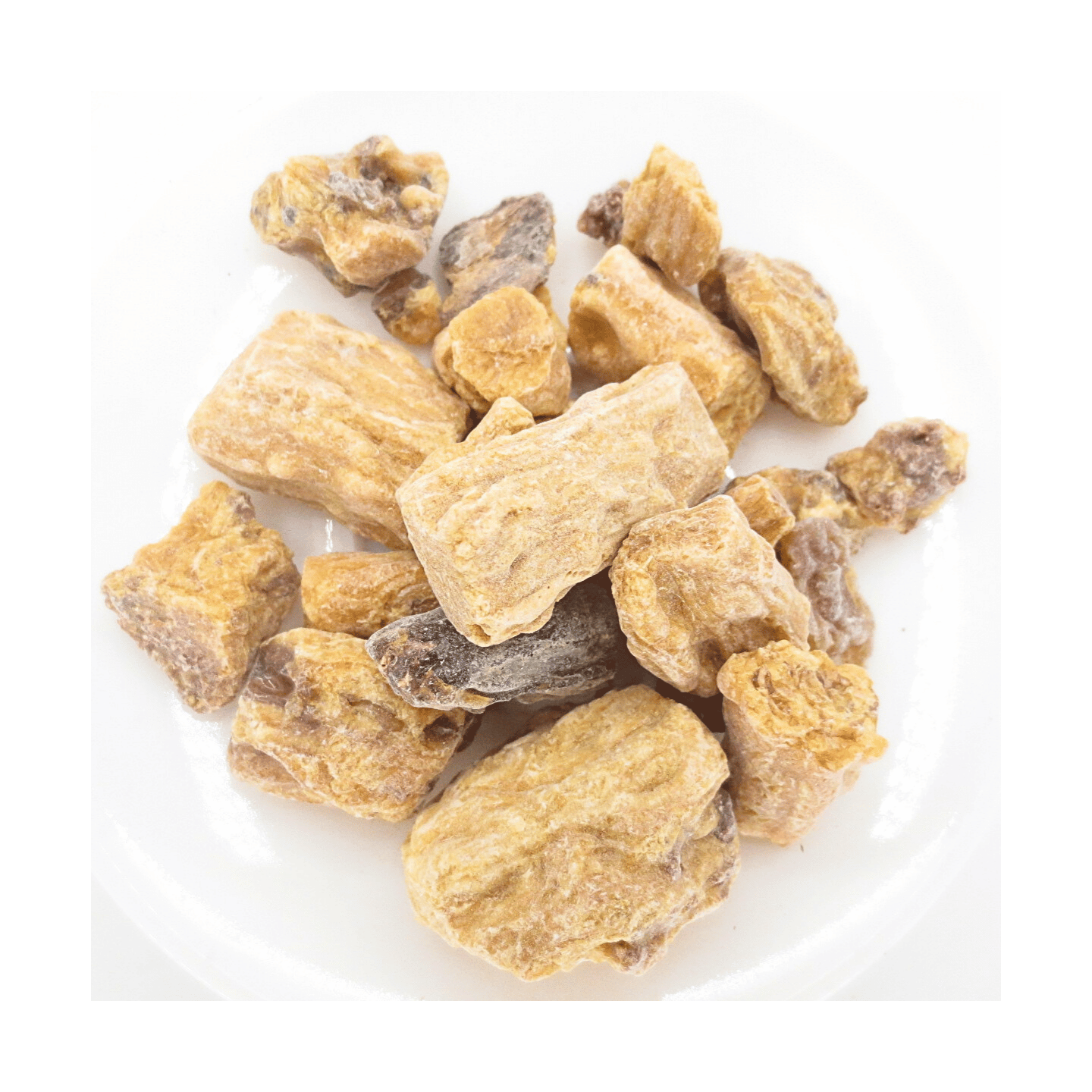 Sal Tree – Natural Resin Incense (1000 g)