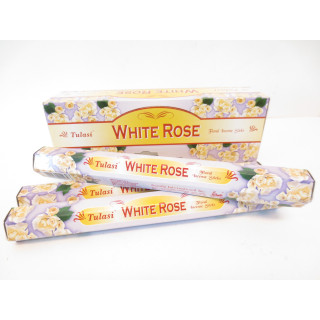 Tulasi White Rose