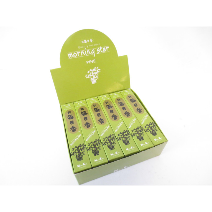 Morning Star - Pine (6st)