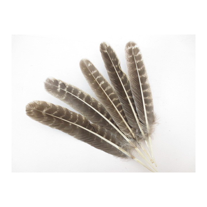 White Sage Smudge Feather Wholesale