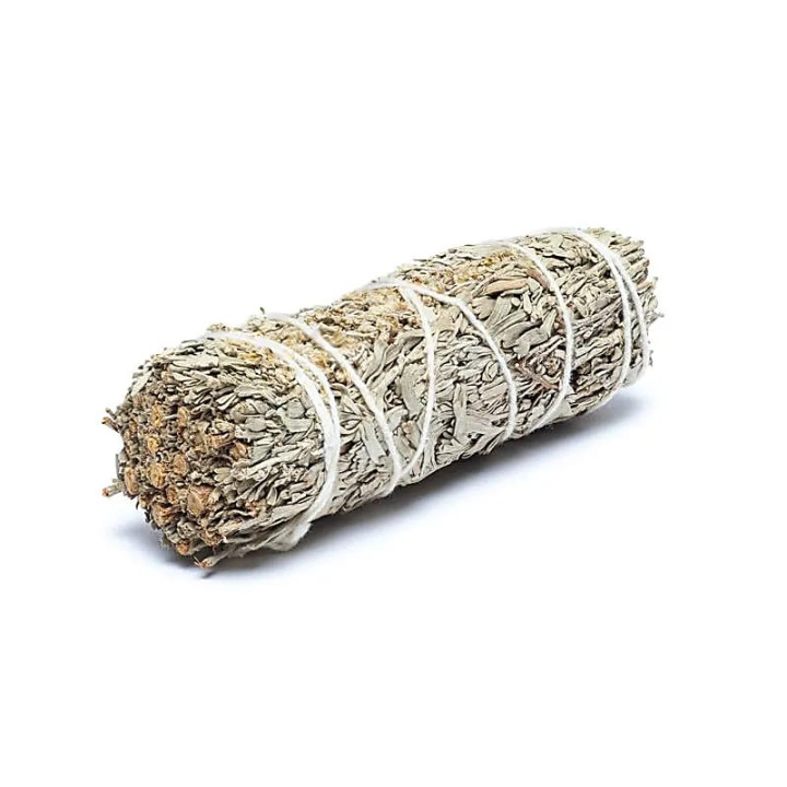 Smudge de Sauge Shasta S présentoir