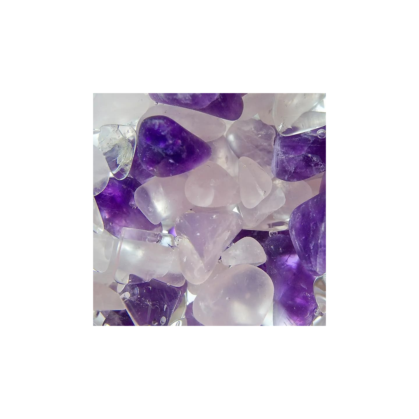 VitalJuwel Wellness | Pieralune