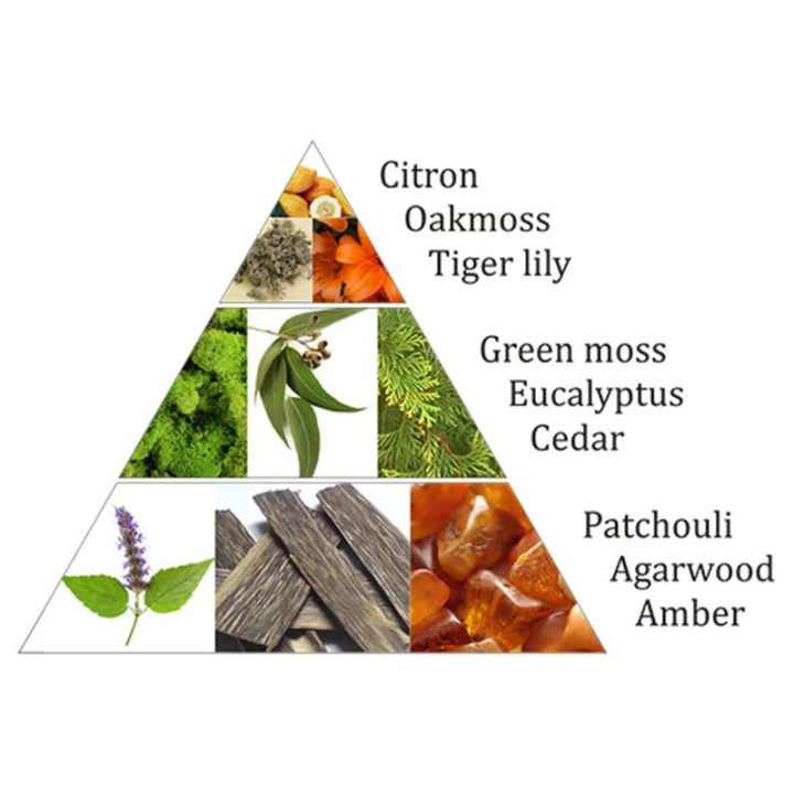Aromafume briques d'encens Forest Dew | Pieralune