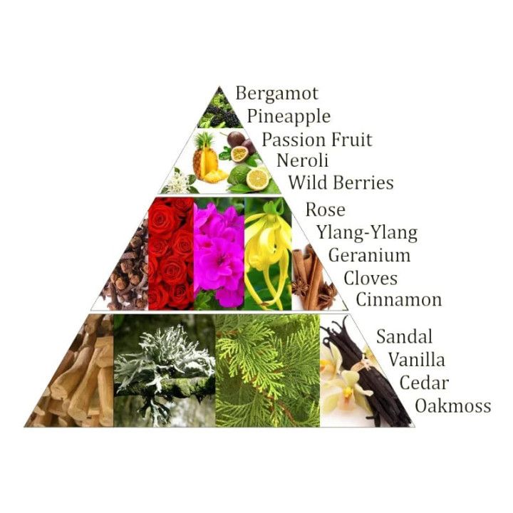 Aromafume briques d'encens Chakra 4°chakra | Pieralune