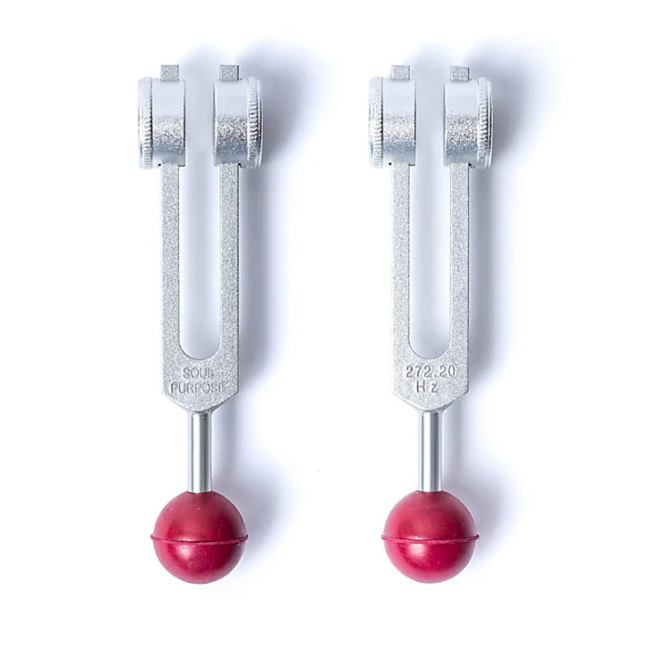 Diapason Soul Purpose (272,20 Hz) | Pieralune