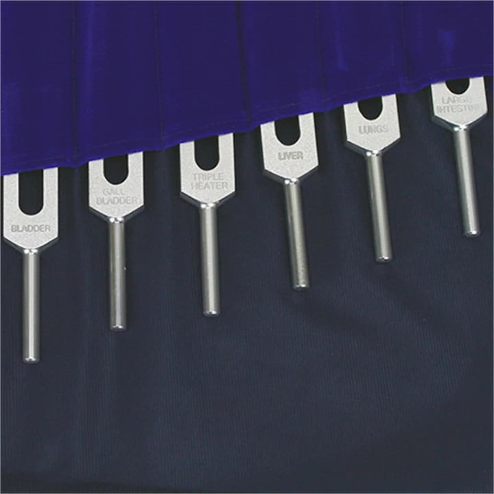 Diapasons Méridiens 14 pièces | Pieralune