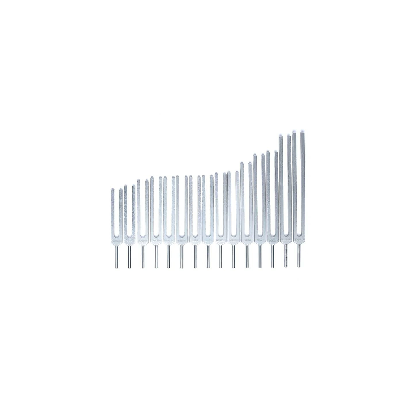 Jeu de diapasons Organes Humains | Pieralune