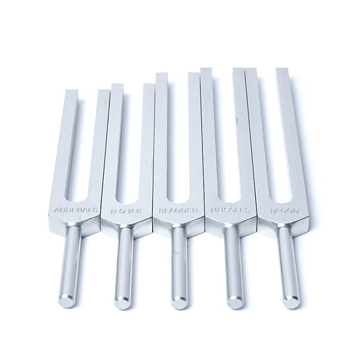 Jeu de diapasons Organes Humains | Pieralune