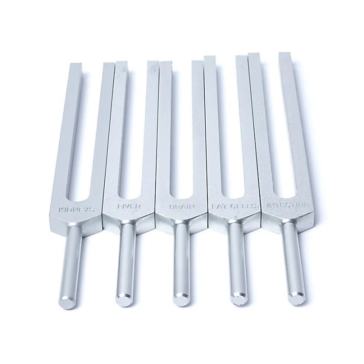 Jeu de diapasons Organes Humains | Pieralune