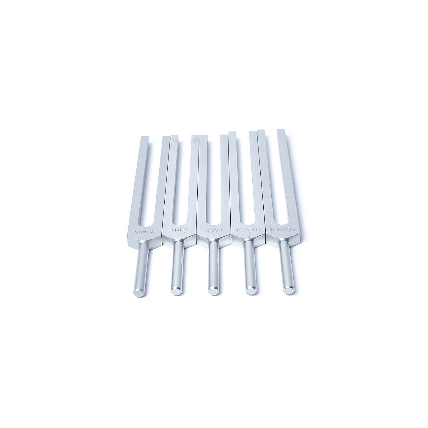 Jeu de diapasons Organes Humains | Pieralune