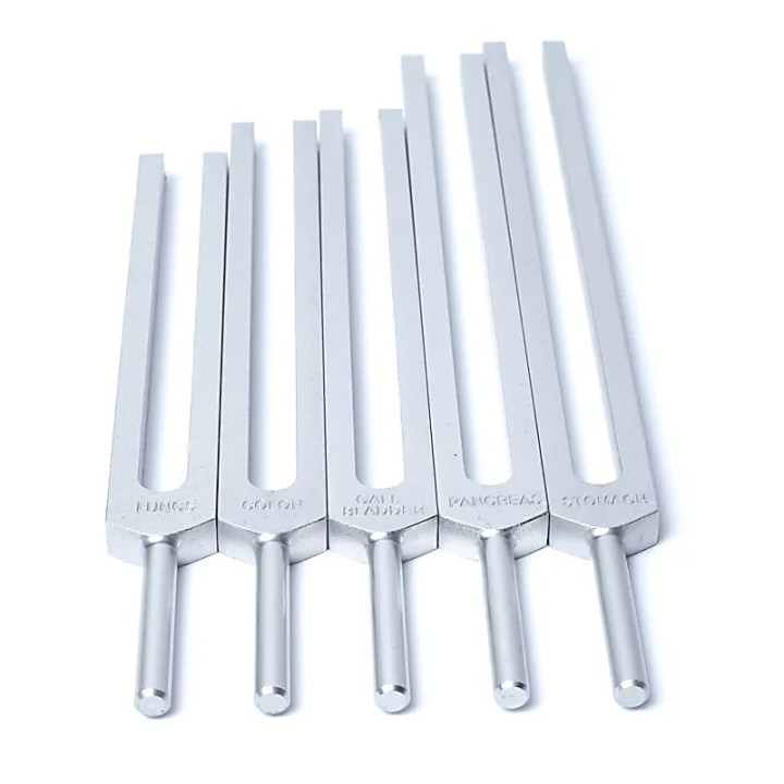 Jeu de diapasons Organes Humains | Pieralune