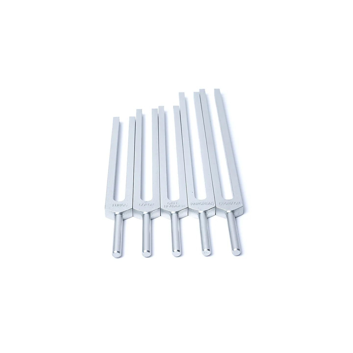 Jeu de diapasons Organes Humains | Pieralune