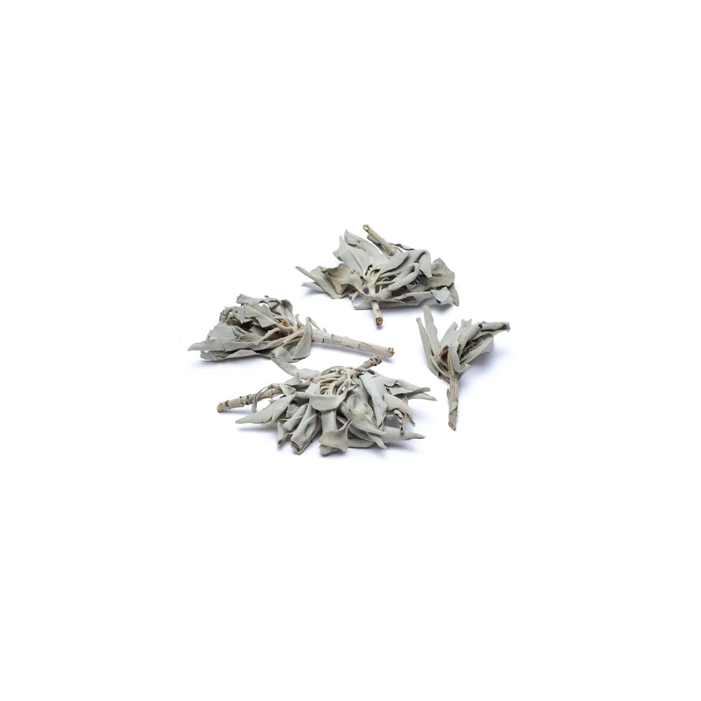 Bouquet d'encens de Sauge Blanche (salvia Apiana) | Pieralune