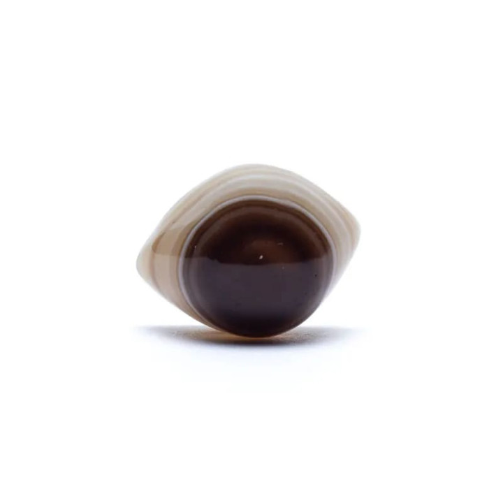 Oeil de Shiva Pierre de protection en agate naturelle | Pieralune