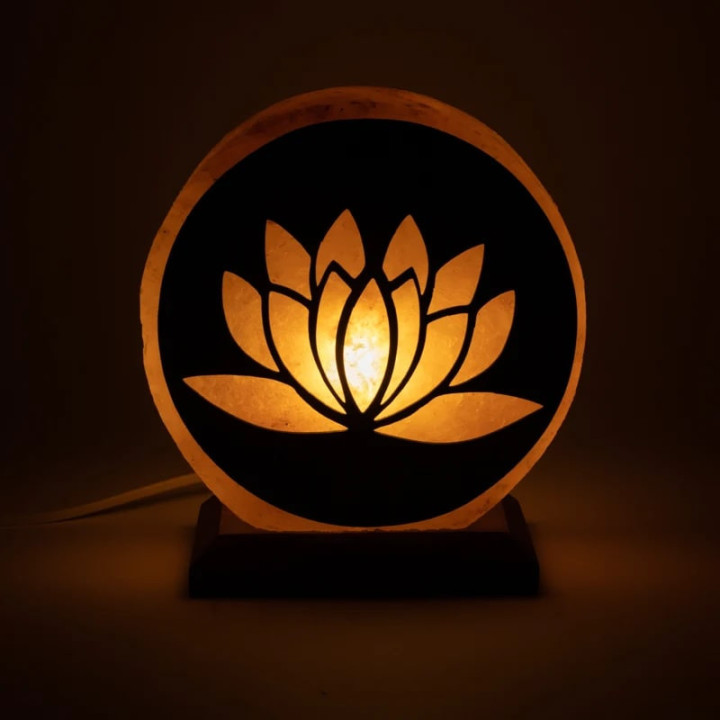 Lampe de sel Lotus avec câble et LED | Pieralune