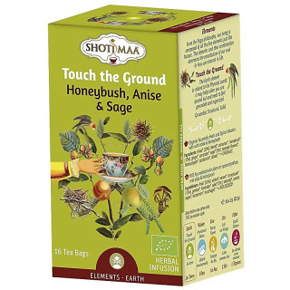 Shoti Maa Tisanne Touch the Ground bio | Pieralune