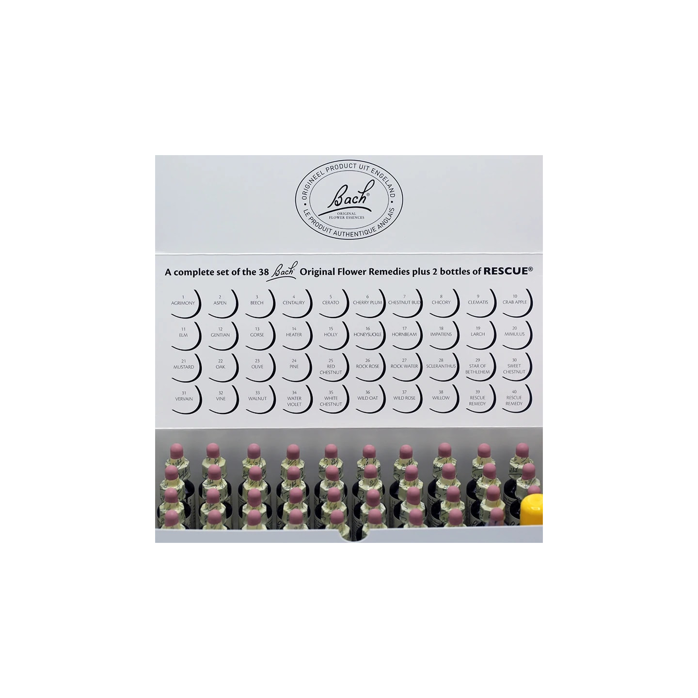 SET Fleurs Bach dans une boîte en carton | Pieralune