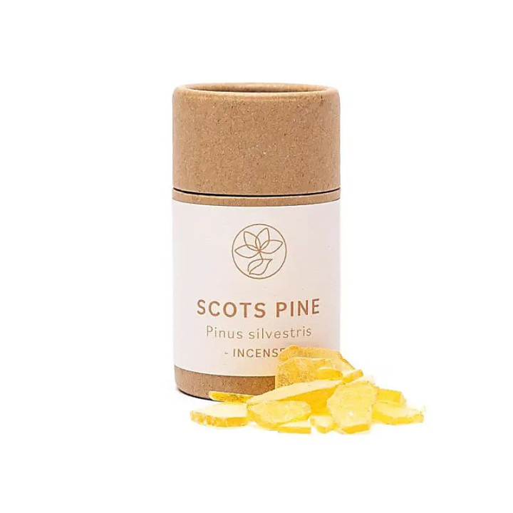 Encens résine Pin sylvestre | Pieralune