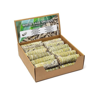 Smudge de Sauge Blanche avec eucalyptus S par 24 en pré... | Pieralune