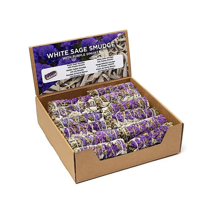 Smudge de Sauge Blanche avec sinuata violette par 24 en... | Pieralune
