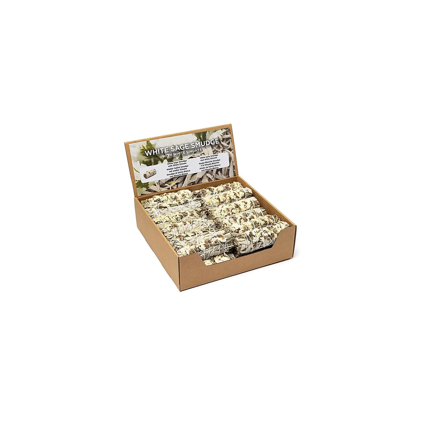 Smudge de Sauge Blanche avec sinuata blanche par 24 en ... | Pieralune