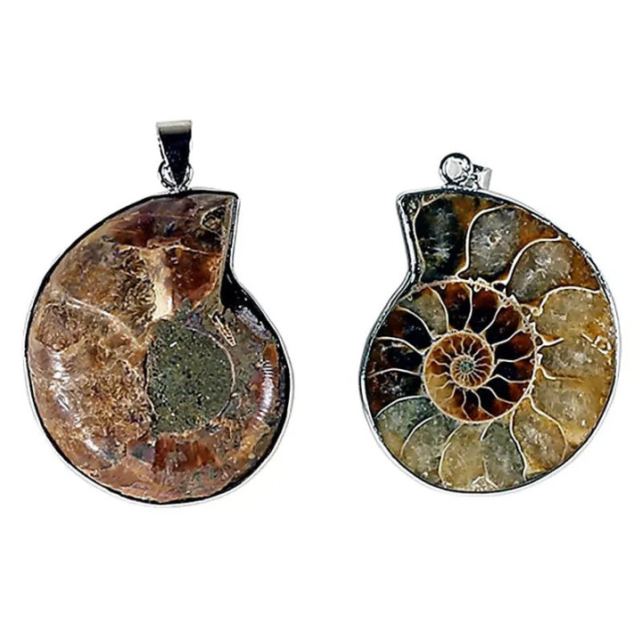 Pendentif Ammonite | Pieralune