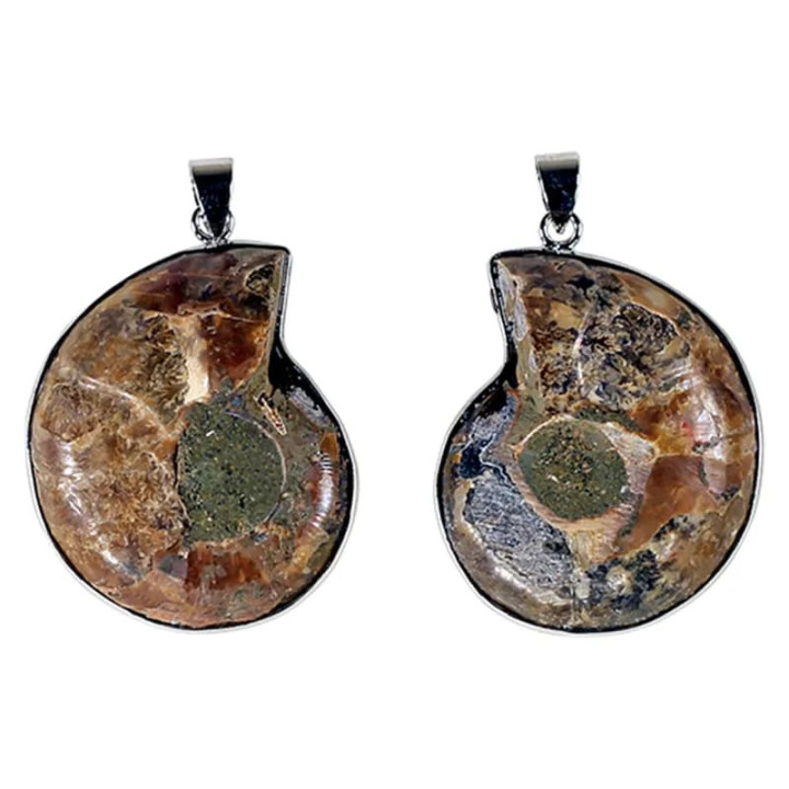 Pendentif Ammonite | Pieralune