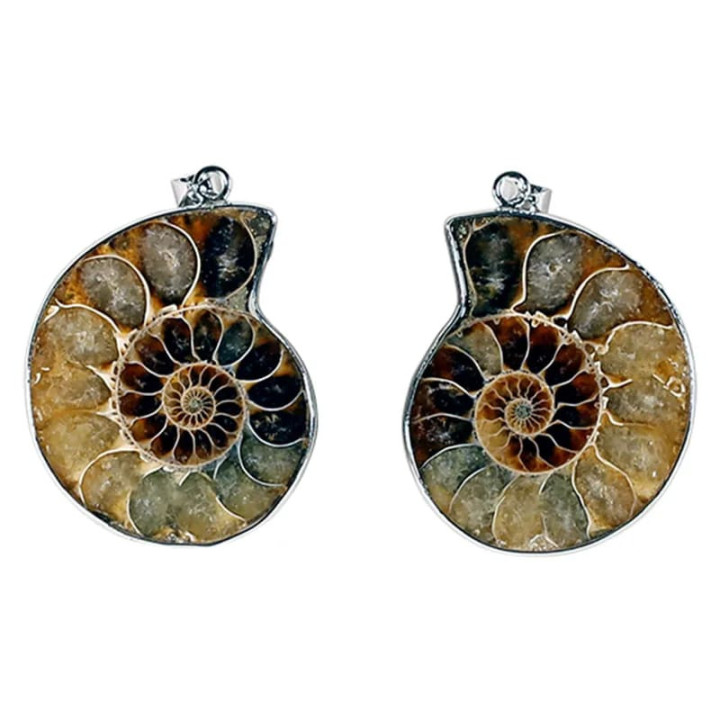 Pendentif Ammonite | Pieralune