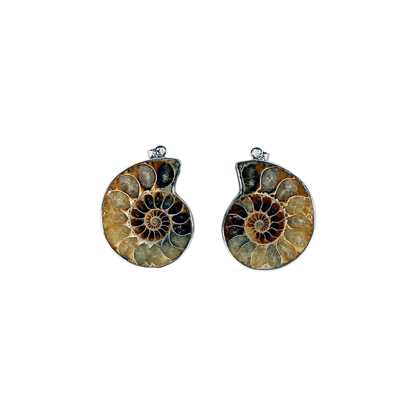 Pendentif Ammonite | Pieralune